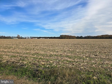 0 Richardson Rd, 14, Willards, MD 21874 - photo 2