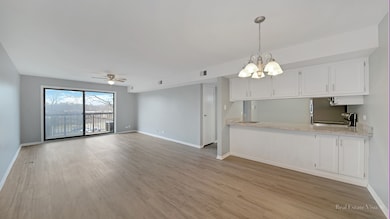 Homewood Shores unit A405, Homewood, IL 60430 - photo 4