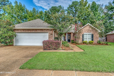 248 Terrace Dr-4