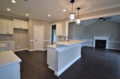 4013 Barrington Dr, Greenville, NC 27834 - photo 7