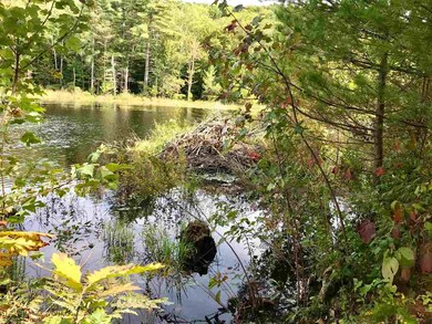 0 County Rd unit Map 2 Lot 5 4720056, Hillsborough, NH 03244 - photo 3