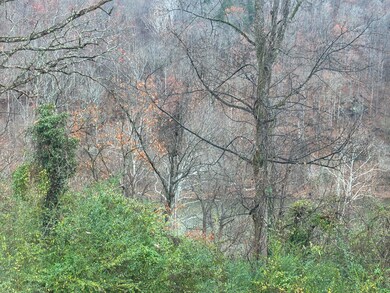 14 Thomas St, Gauley Bridge, WV 25085 - photo 2