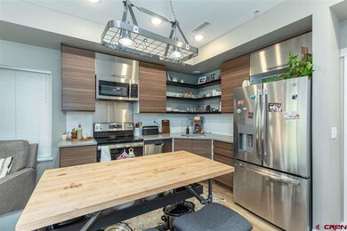 610 E 8th Ave unit 218, Durango, CO 81301 - photo 4