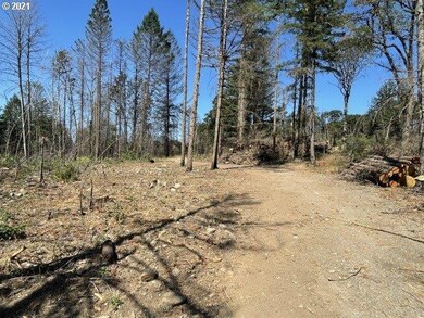 23155 N Fork (-23155) Rd SE, Lyons, OR 97358 - photo 3