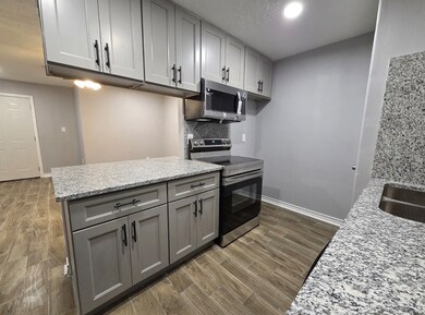 15245 Buckle Ln unit 5245, Houston, TX 77060 - photo 2