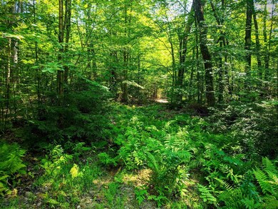 00 Rocky Ledge Rd, Windsor, NH 03244 - photo 5