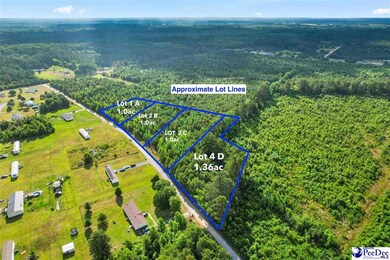 Lot 1-C Daniels Ln, Bennettsville, SC 29512 - photo 4