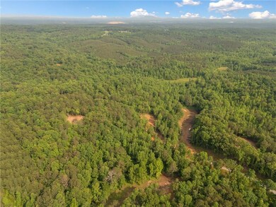 Aerial overview of property's location featuring a forest