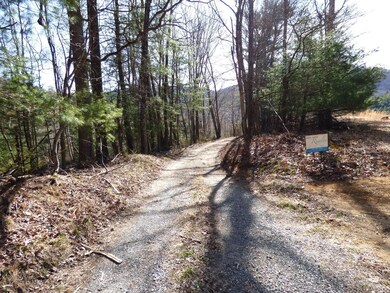 0 Alto Rd unit 342956, Vesuvius, VA 24483 - photo 2