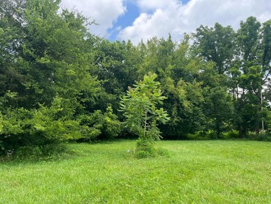 Summer field entrance