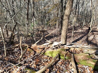 Lt 24 Winding Creek Rd, Blue Ridge, GA 30513 - photo 7