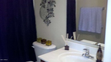 downstairs guest bath