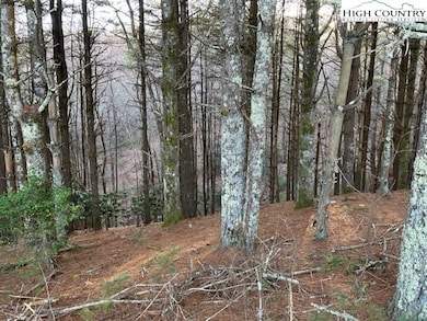 25 Davis Acres Dr, West Jefferson, NC 28694 - photo 6