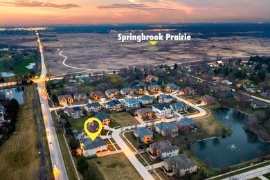 1912 Saddle Farm Ln, Naperville, IL 60564 - photo 2