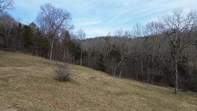 View of nature