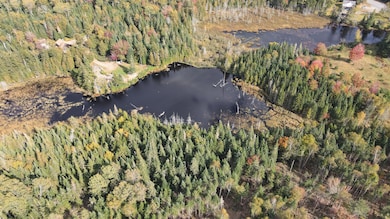 dji_fly_20240924_144118_284_172720329469
