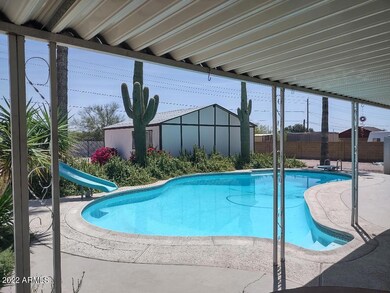 Cactus pool