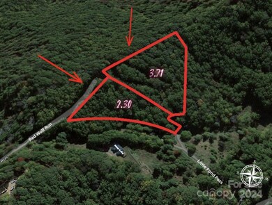 0 Red Wolf Run unit CAR4186741, Mars Hill, NC 28754 - photo 6