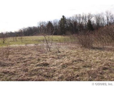 Land/Lot