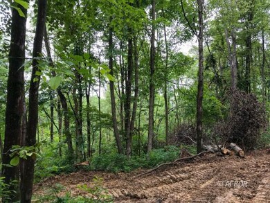 East Branch Rd 32 acres