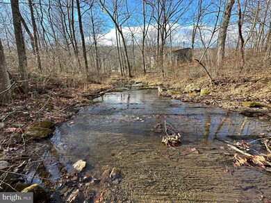 0 Corner Rt 259 S & Hunkerson Gap Rd unit WVHD2001852, Mathias, WV 26812 - photo 4