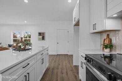 4310 Van Dyke Dr, Knoxville, TN 37919 - photo 7