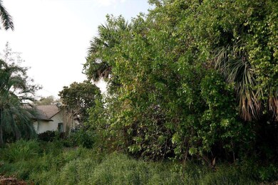 Lot1