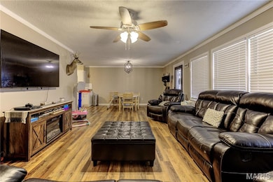 509 Nelson St, East Prairie, MO 63845 - photo 6