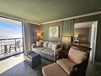 Livingroom w/ a View