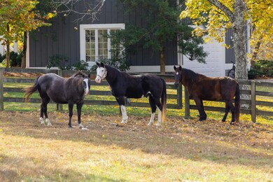Your horses will love their new home! The property has a pond and a natural spring. Fish, hunt, horseback ride, four- wheel....all the entertainment that Mother Nature can offer.