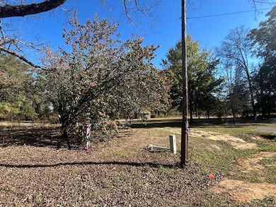 816 N Broad St, Cowarts, AL 36321 - photo 2