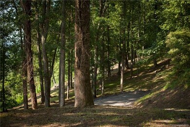 49 Split Rock Tr unit 4, Avery Creek, NC 28704 - photo 7