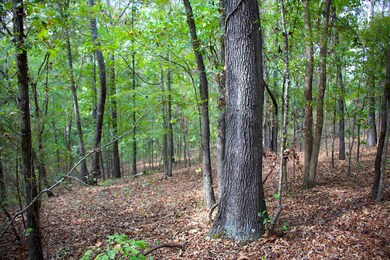 914 Park Swain Rd, Grand Junction, TN 38039 - photo 6