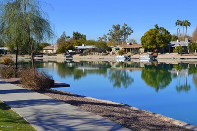 Amazing Neighborhood