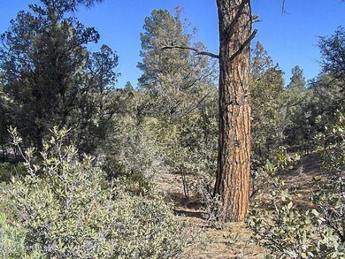 2 Gently Sloping Lot