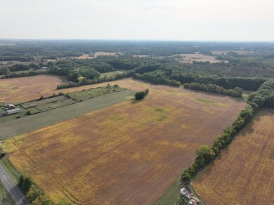 Vactant Land 1400 Block, Buchanan, MI 49017 - photo 6