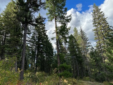 Nhn Montana 200, Trout Creek, MT 59874 - photo 5