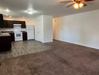 703 A & B W Franklin Ave, Effingham, IL 62401 - photo 2