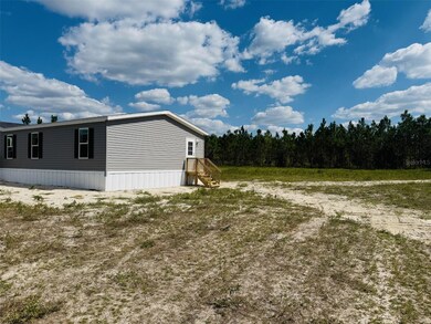 7670 207th Rd, Live Oak, FL 32060 - photo 4