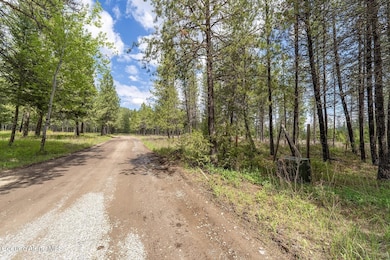 NKACoyotePassRd0613