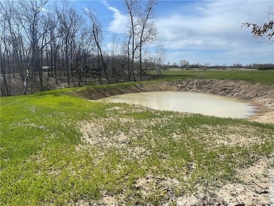 beautiful new pond filling up nicely!  Deer tracks galore!