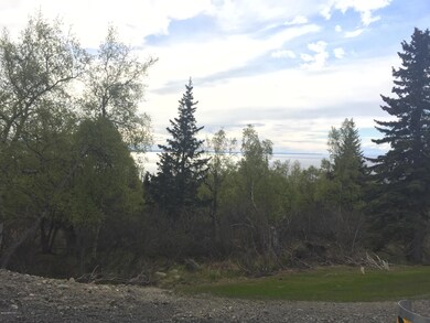 L4 B2 Potter Valley Rd, Anchorage, AK 99516 - photo 4