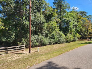 LOT 108 Sundew Ct, Magnolia, TX 77355 - photo 2