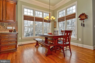 21860 Parsells Ridge Ct, Ashburn, VA 20148 - photo 7