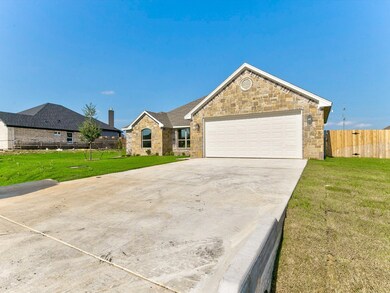 3203 Promenade Dr, Granbury, TX 76048 - photo 2