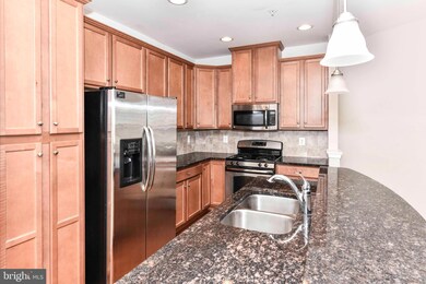 24662 Hutchinson Farm Dr, Sterling, VA 20166 - photo 3