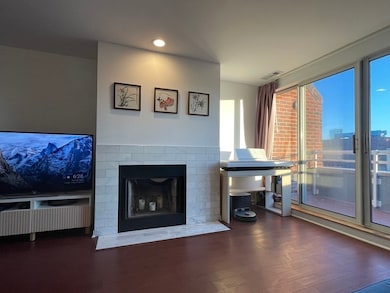 Thomas Graves Landing unit PH3, Cambridge, MA 02141 - photo 5