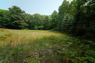 0 Herkelrath Rd unit 21100482, Onekama, MI 49675 - photo 6