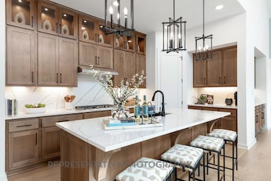 261 Menlo Bend, Santa Rita Ranch, TX 78628 - photo 2