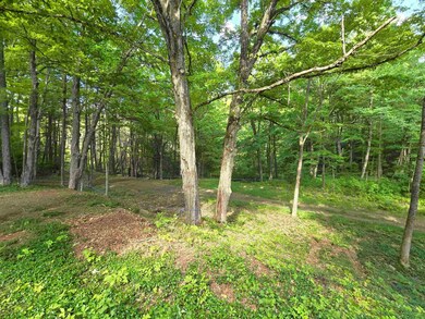 320 Green Mountain Camp Rd, Dummerston, VT 05301 - photo 5